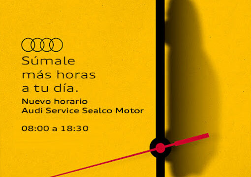 03_Audi Sealco Motor