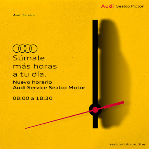 03_Audi Sealco Motor