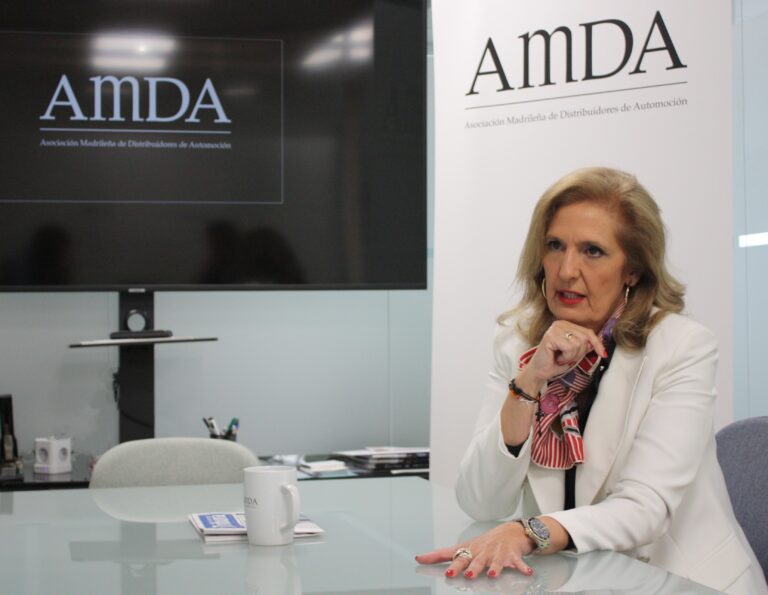 Elisa Gil presidenta de AmDA