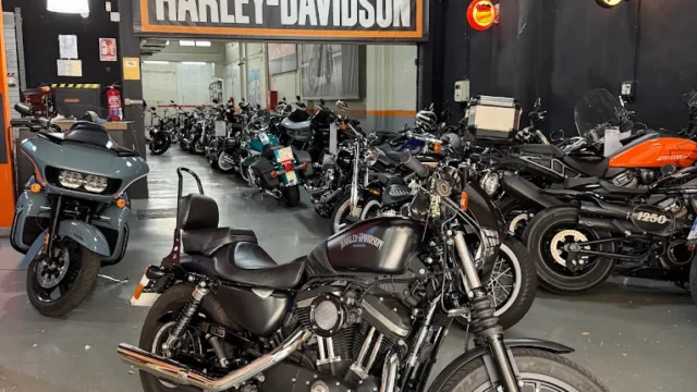 harley davidson taller