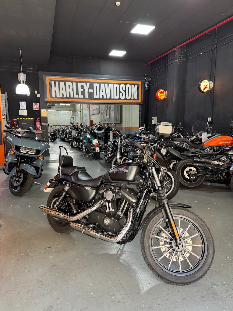 harley davidson taller
