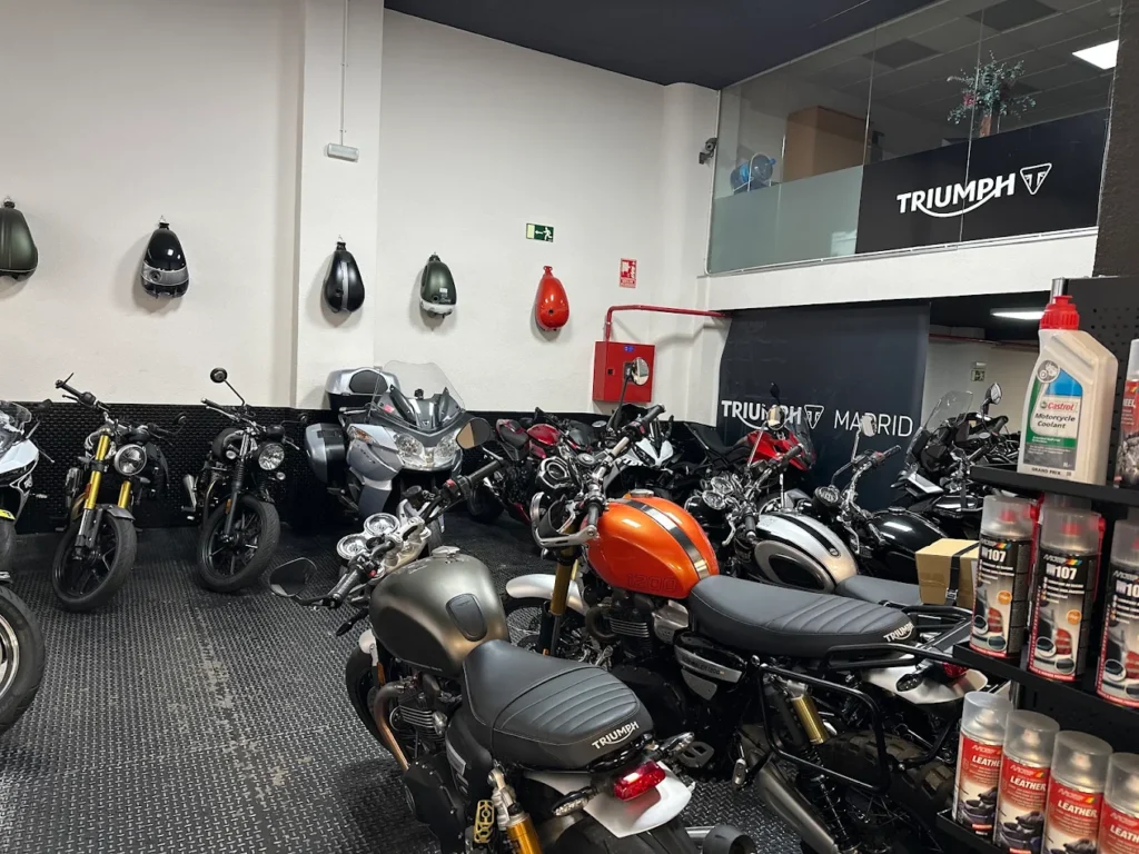 taller triumph