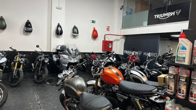 taller triumph
